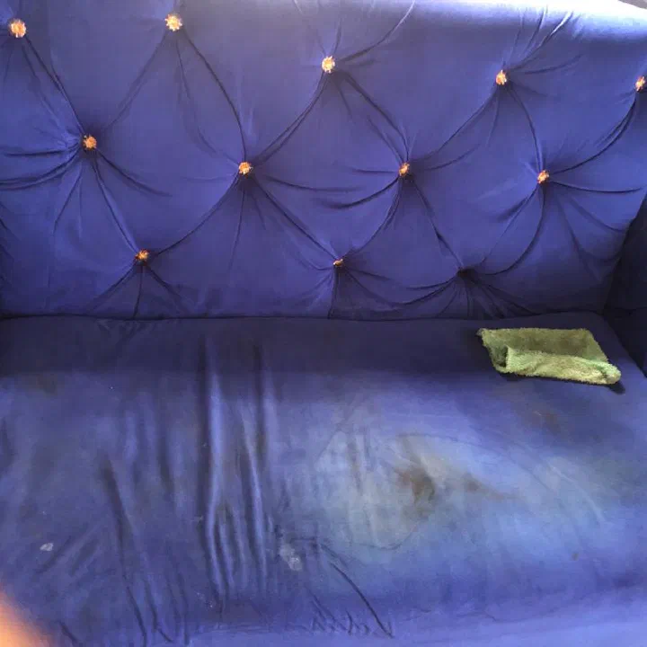 Tufted velvet sofa — before cleaning